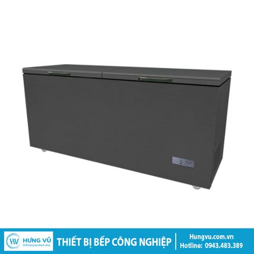 Tủ Đông Nằm Trực Tiếp 2 Cánh Inox